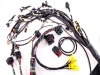 Terminated engine harness - GM LS no accessories Terminated engine harness - GM LS no accessories